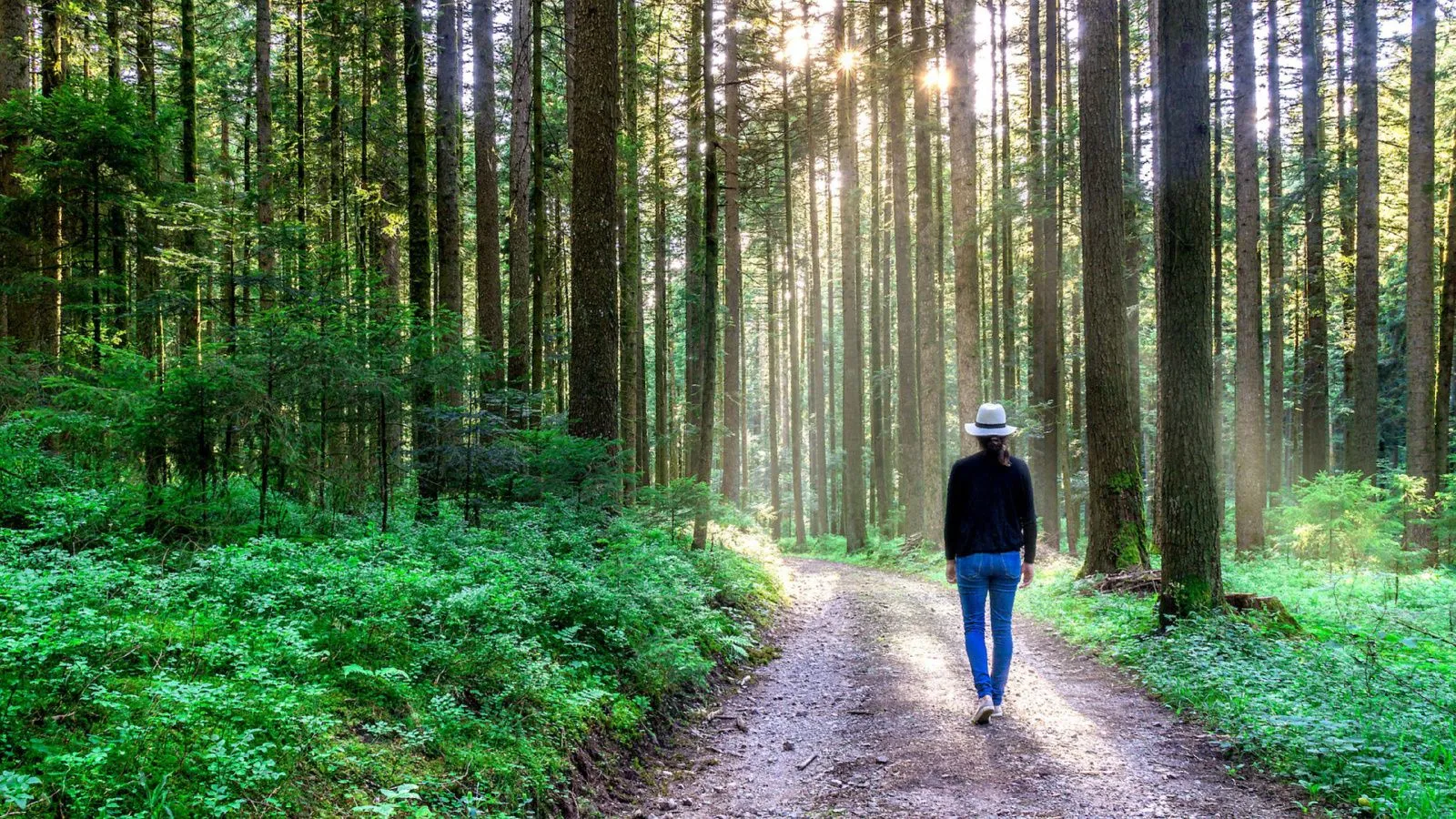 Eine Frau mit einem Sonnenhut spaziert im Wald.