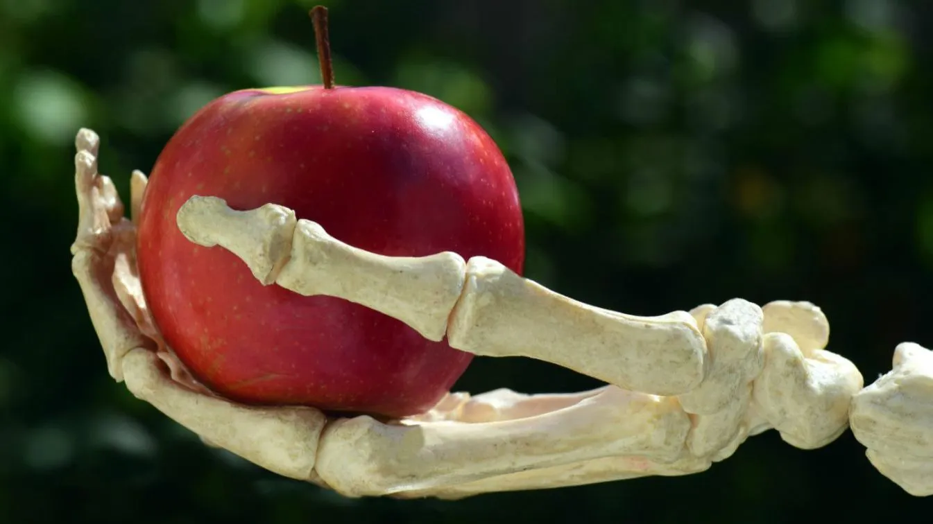 Ein Apfel in der Hand eines Skeletts