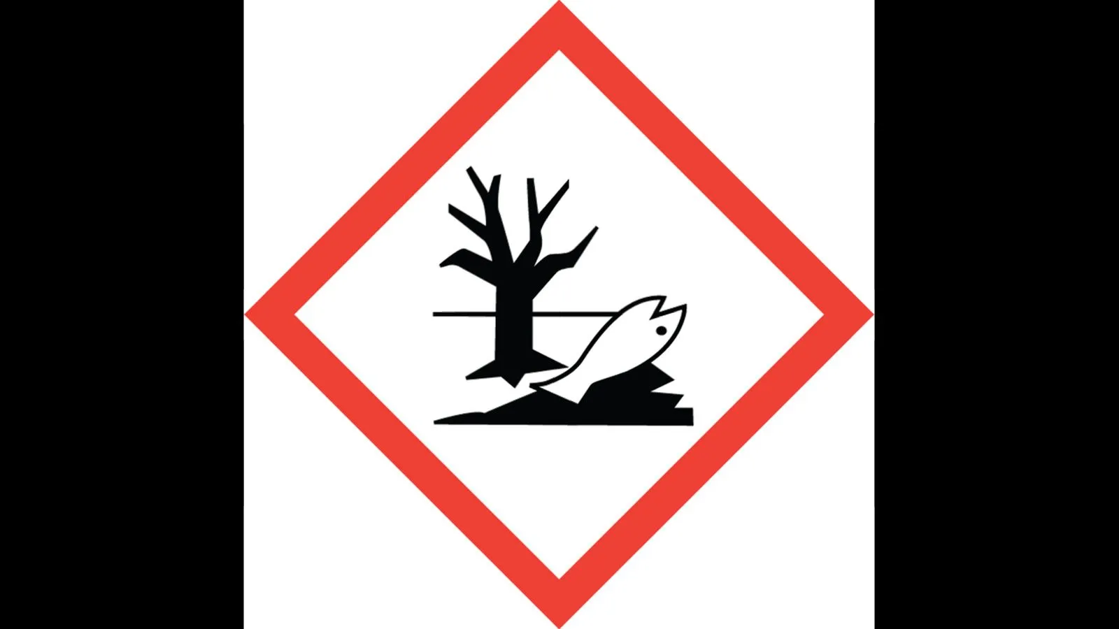 Toter Fisch und toter Baum in rotem Quadrat