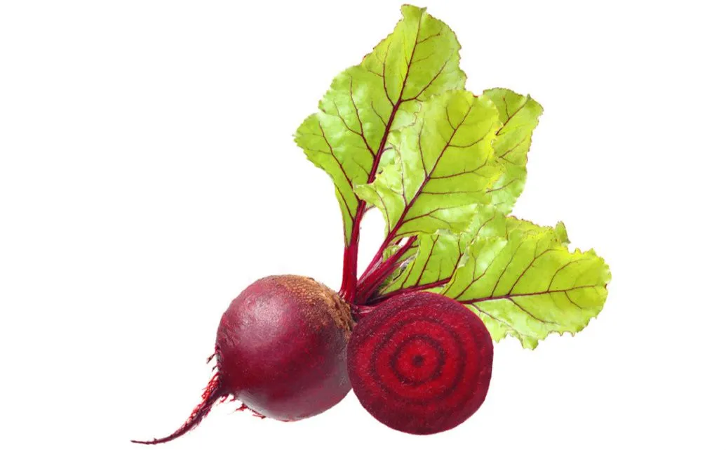 Zwei Randenknollen mit Blättern, eine davon halbiert