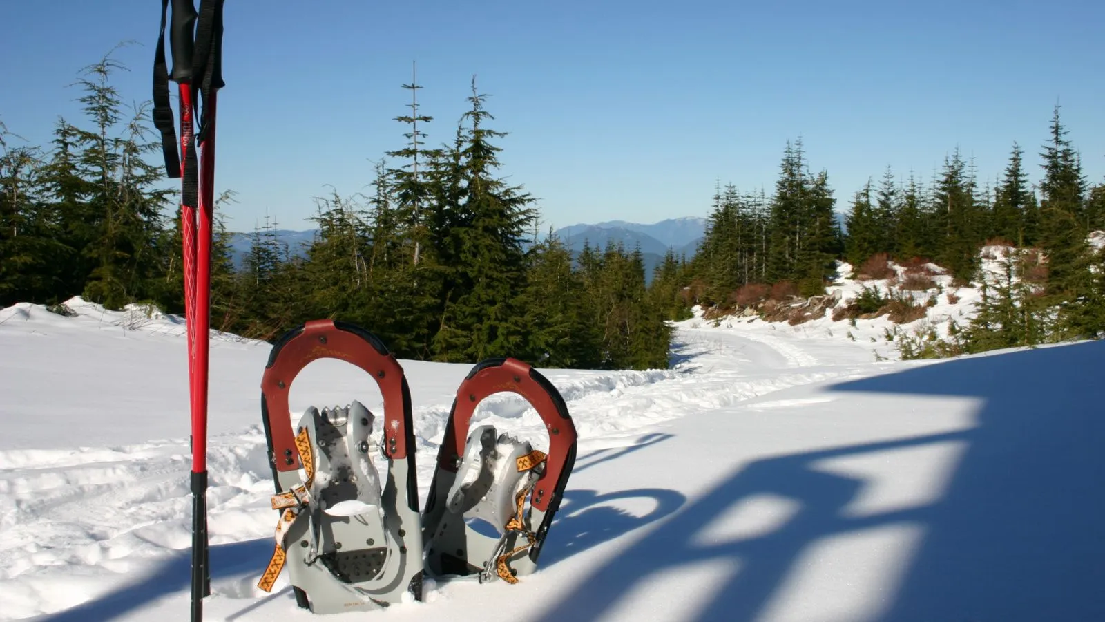 Schneeschuhe und Stöcke stecken im Schnee
