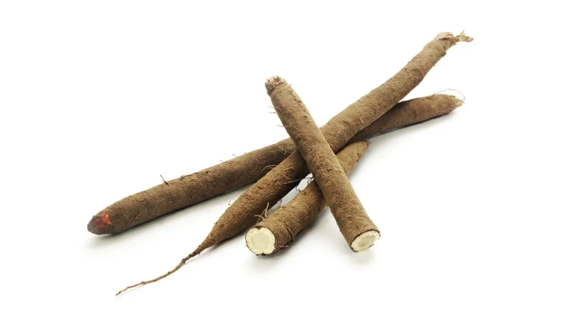 Vier Schwarzwurzeln, ungeschält, zwei angeschnitten