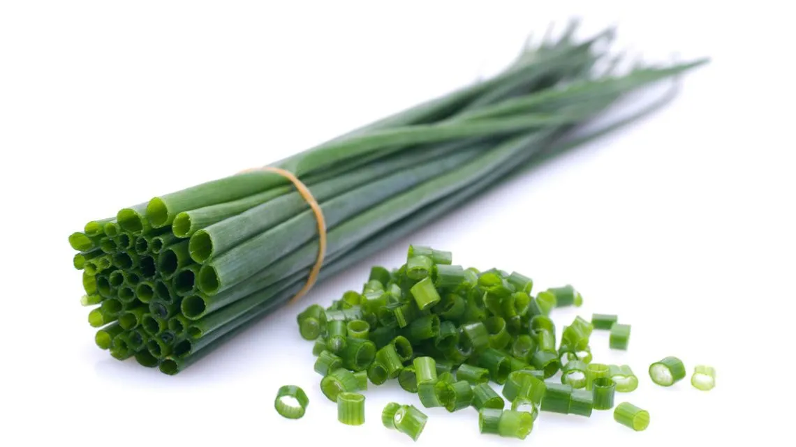 Ein Bund Schnittlauch, mit einem Gummiband zusammengehalten, daneben liegt ein Häufchen geschnittener Schnittlauch