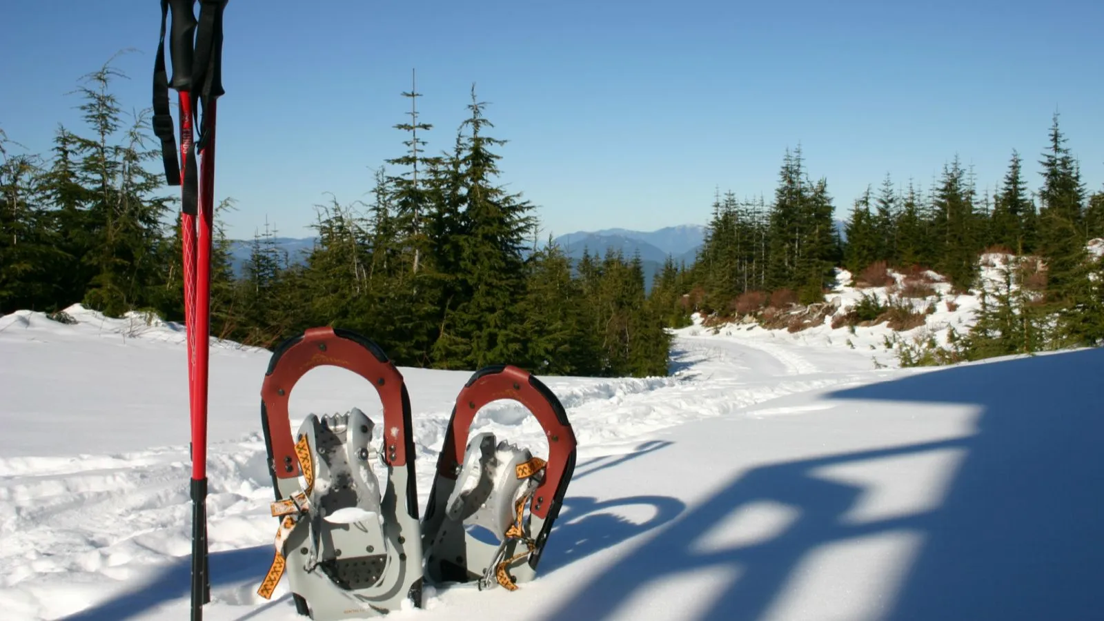 Schneeschuhe stecken im Schnee