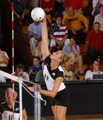 convert - 2025-06-04T083628.494.webp