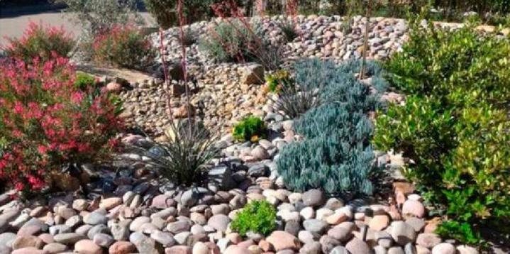 Image of xeriscaped garden