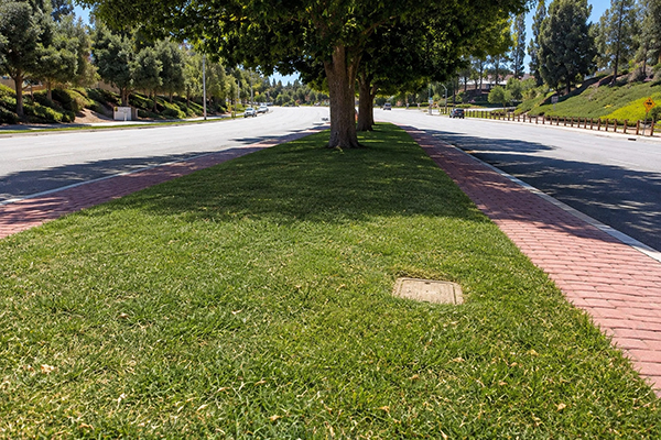 Representation of nonfunctional turf irrigation