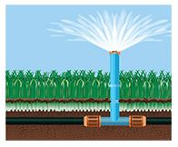 Sprinklers and irrigation artwork