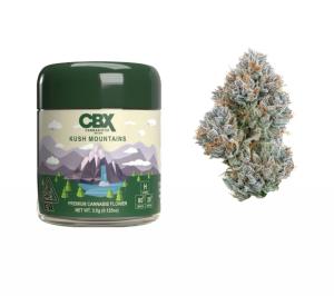 新製品情報も満載 「CANNABIS別注」LITTLEBIG × (LBC211-JK01