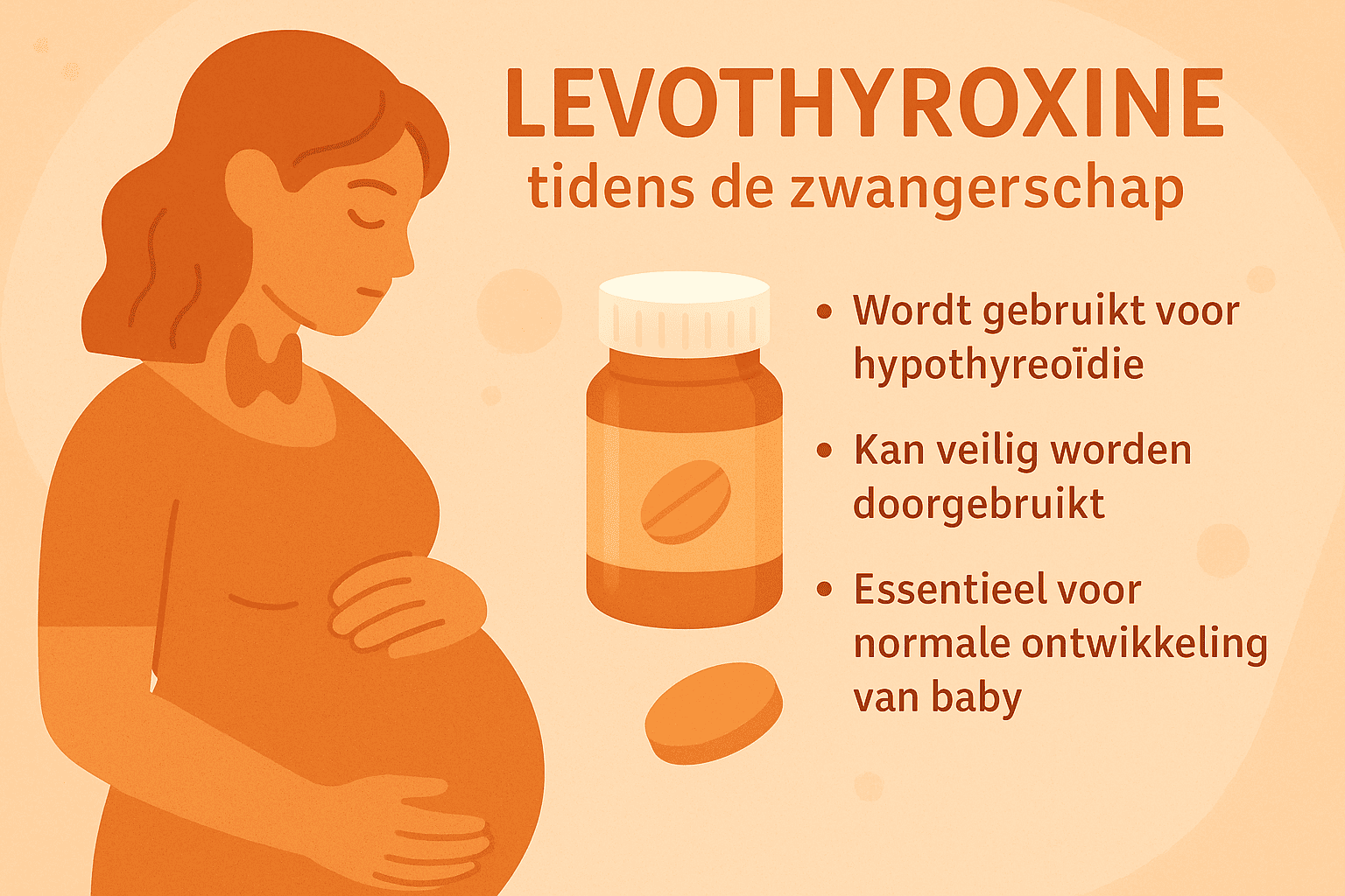 Levothyroxine en zwangerschap