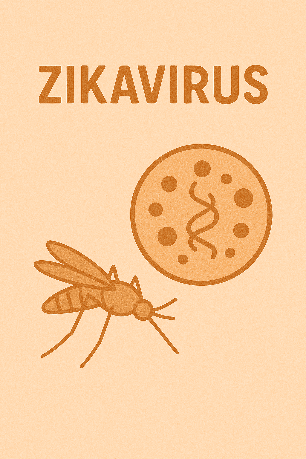 Zikavirus en jouw zwangerschap