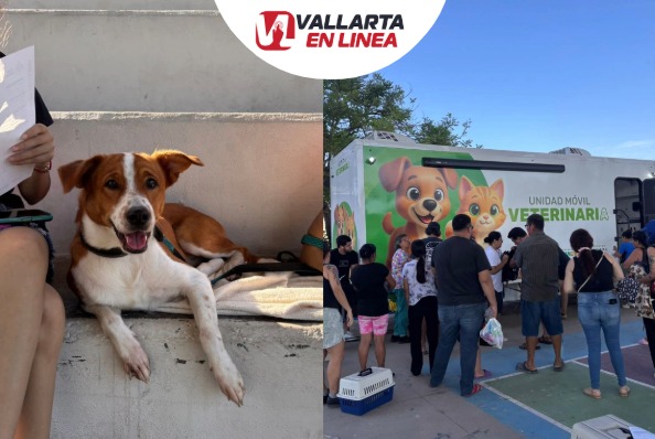 Esterilizaciones gratuitas Vallarta
