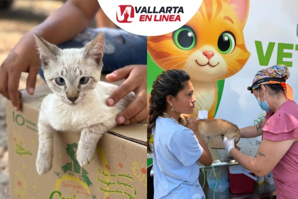 Unidad Móvil Veterinaria Vallarta