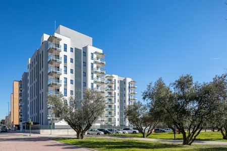 Habitat Pintor Velazquez 1.jpg