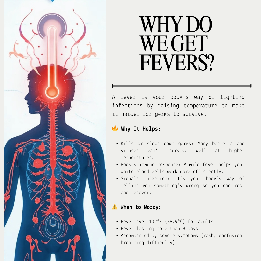 Fever and Immunity: How Heat Helps Your Body Heal