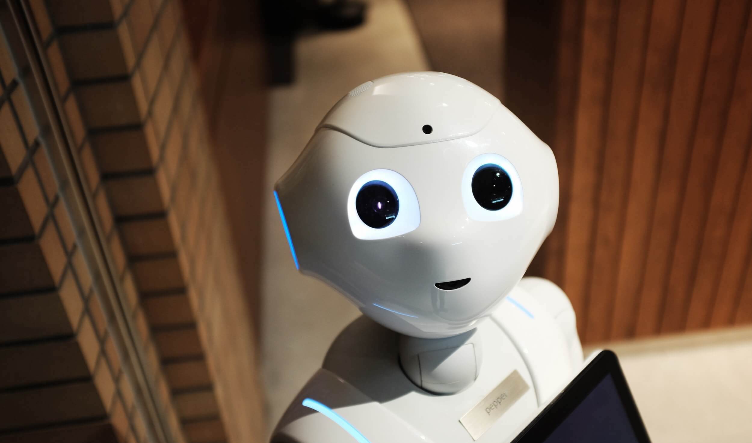 robot_qusion