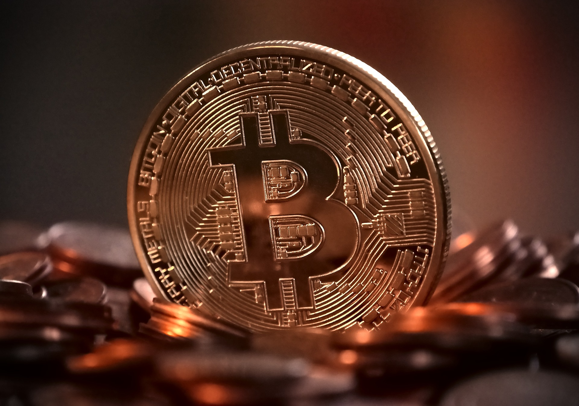 Medvědi se ukládají ke spánku a bitcoin roste. Vystřídá je býčí trh?