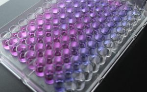 Simply Natural - Luya Chunks all-natural & ready to season, 400g todo