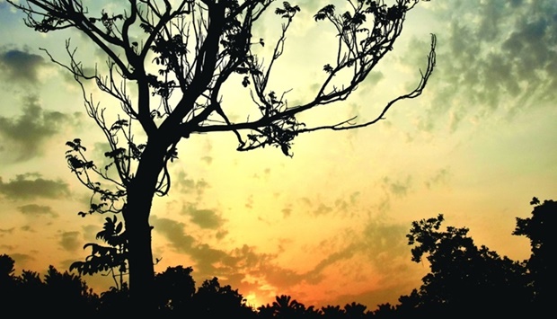 Captivating sunset at MIA Park