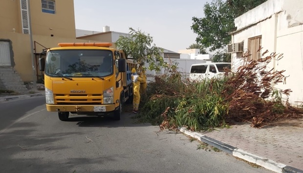 Fallen trees removed