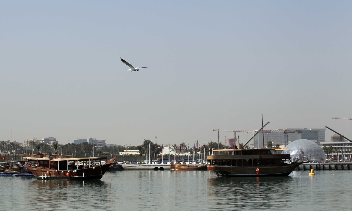 Moderate daytime and cold nights during weekend: QMD