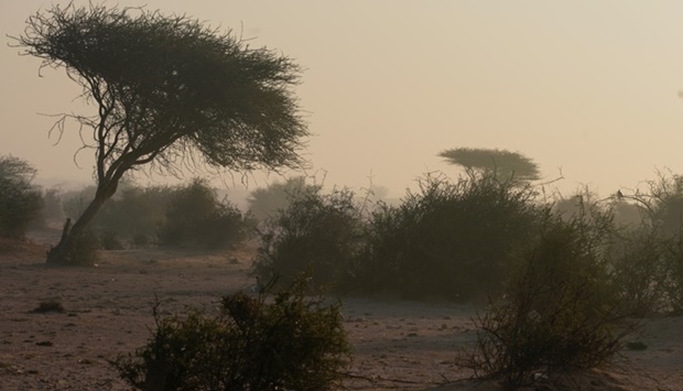 Visibility may fall to zero, warns Met Dept