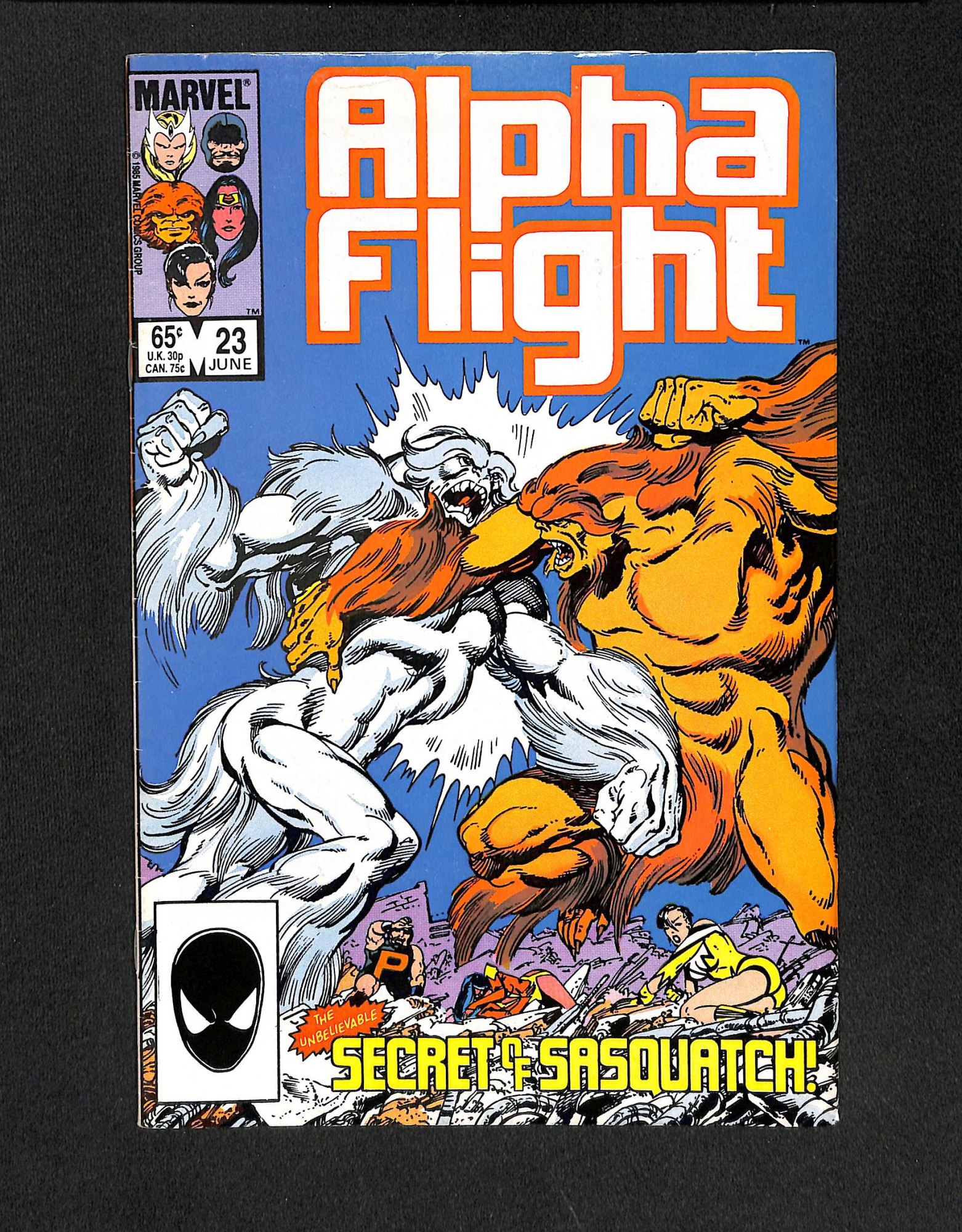 Alpha Flight #23