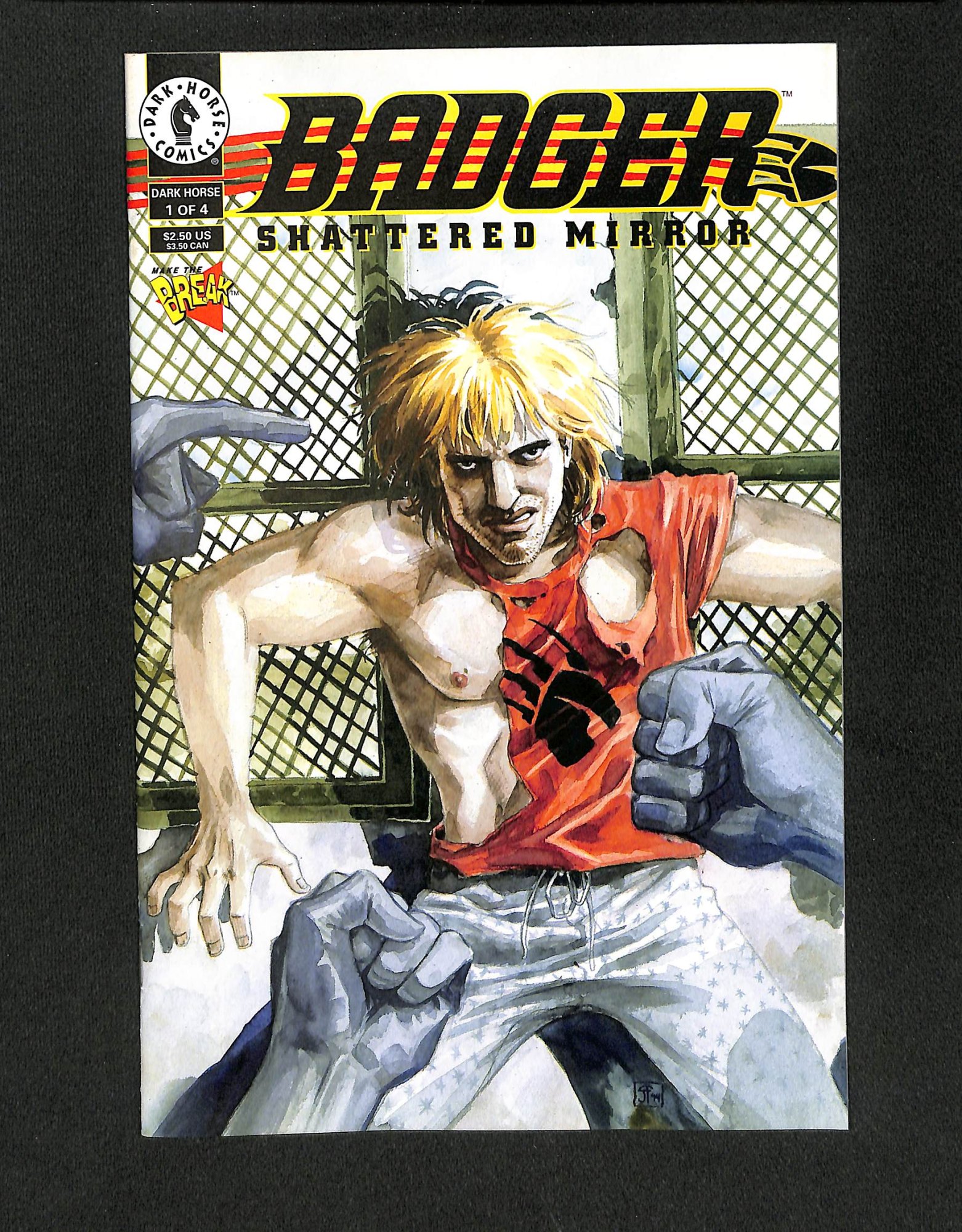 Badger: Shattered Mirror #1