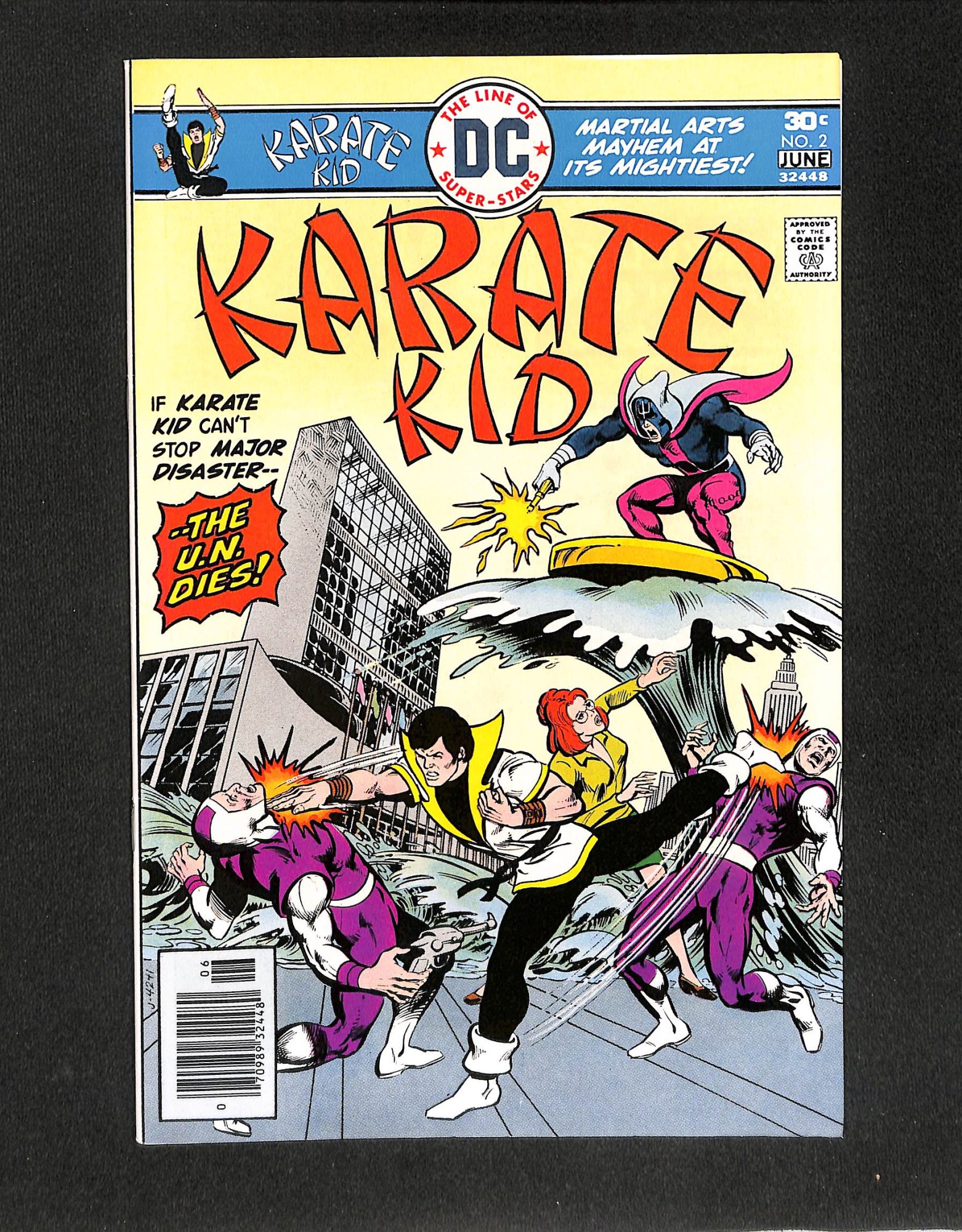 Karate Kid #2