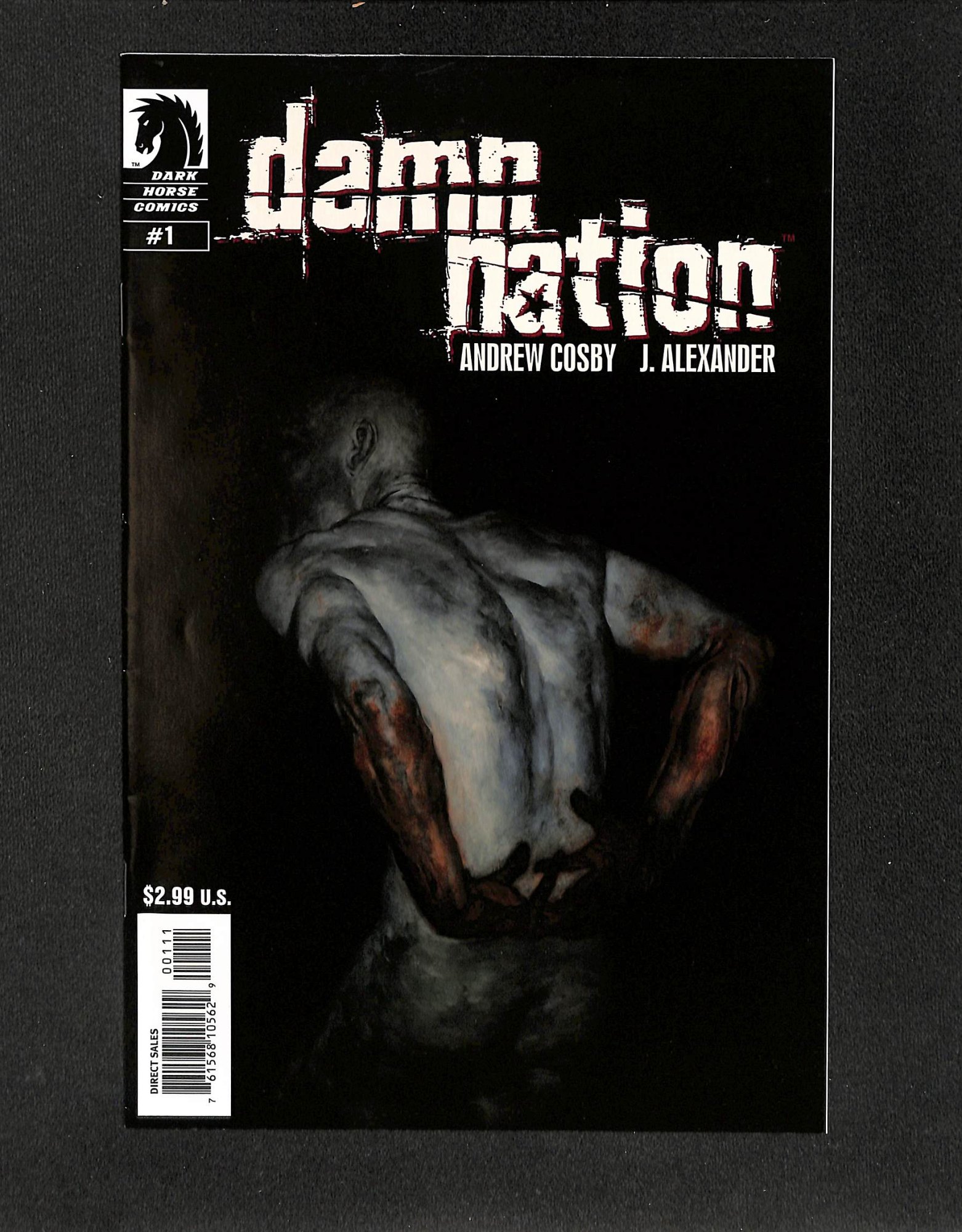Damn Nation #1