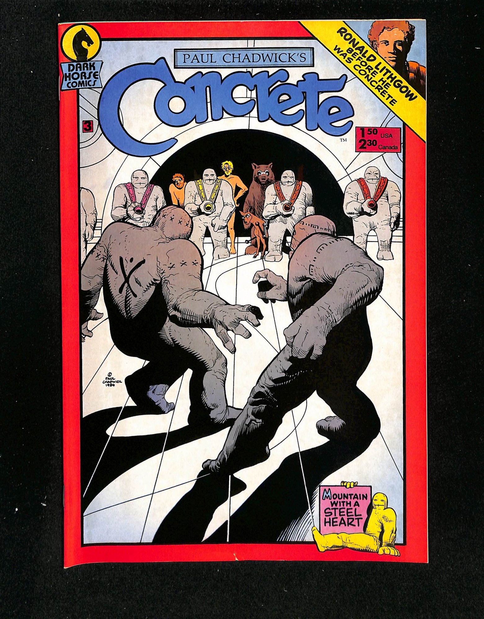 Concrete #3