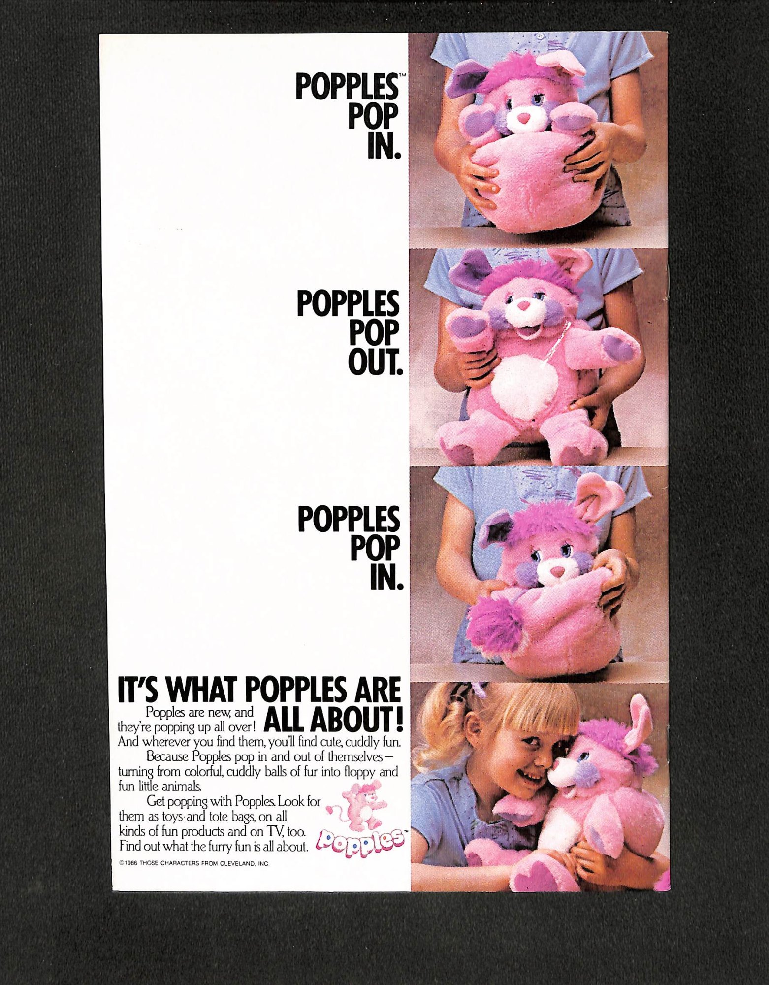 Image: Additional #1