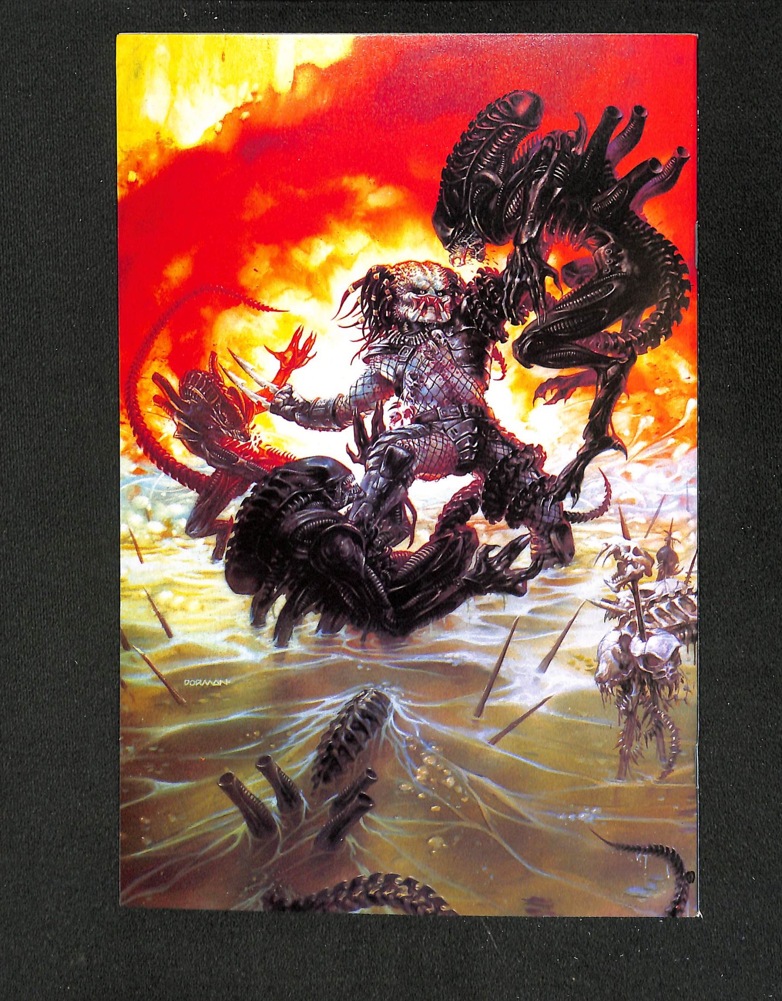 Image: Additional #1