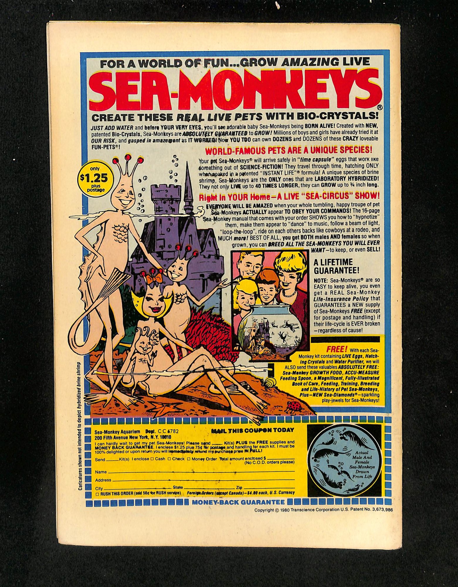 Image: Additional #1