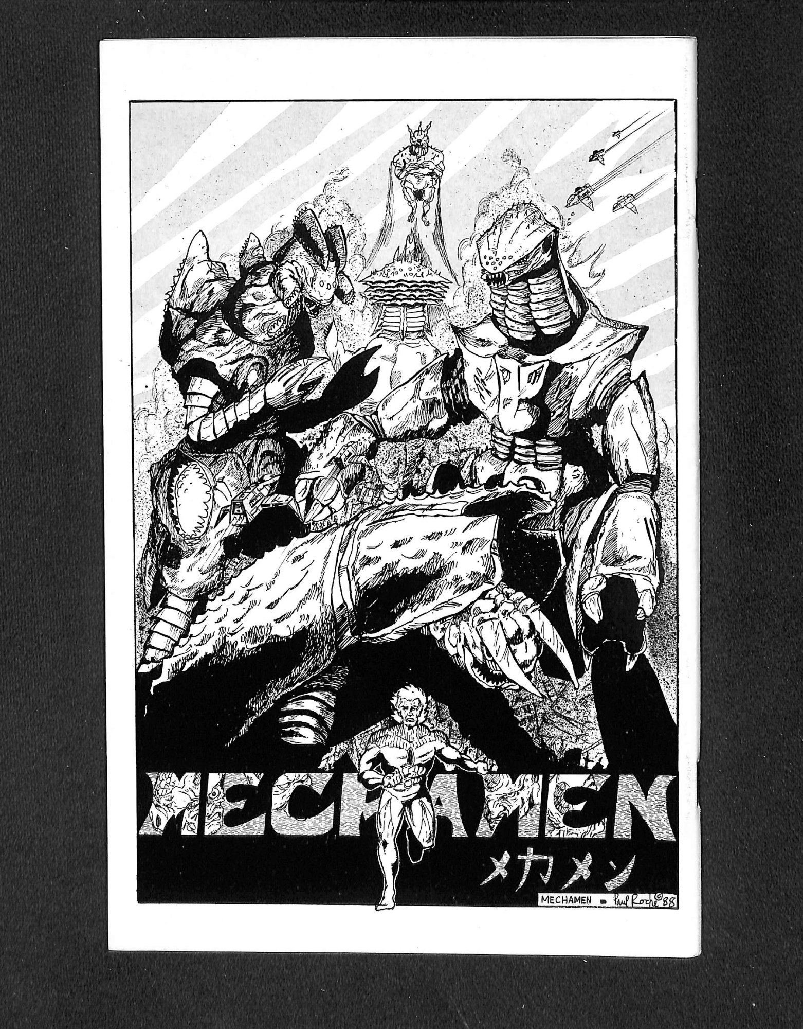 Image: Additional #1