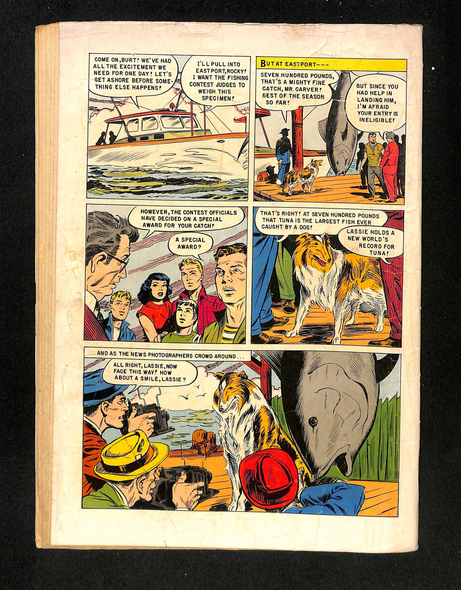 Image: Additional #1