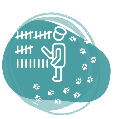 icon for Animal Census Management System