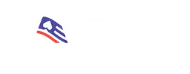 ACE secondary logo