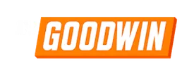 Mr. GoodWin secondary logo