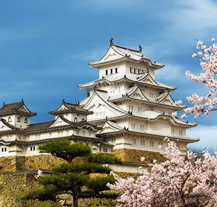 Win A Trip To Japan