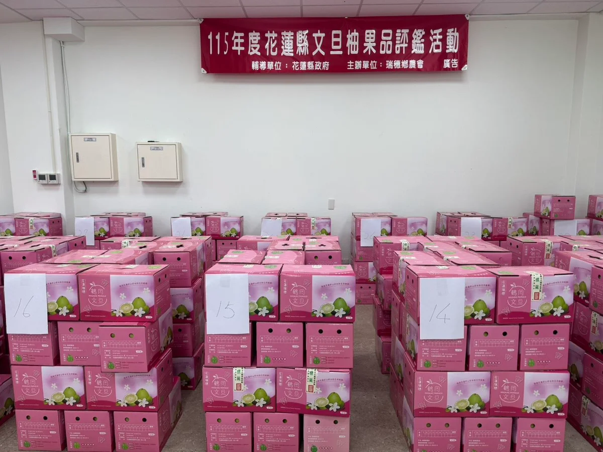瑞穗鄉農會文旦柚評鑑出爐　金牌得主揭曉