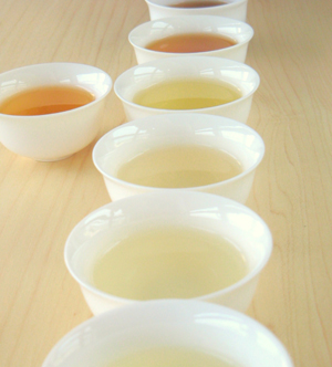 中国茶の種類