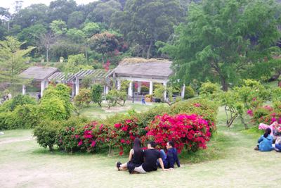 三角梅公園