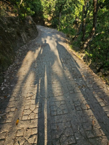 Down the Mountain, Into Another World