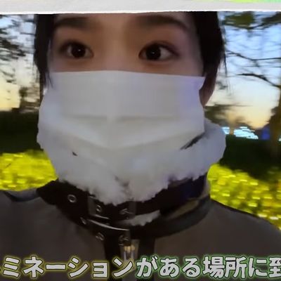 なばなの里