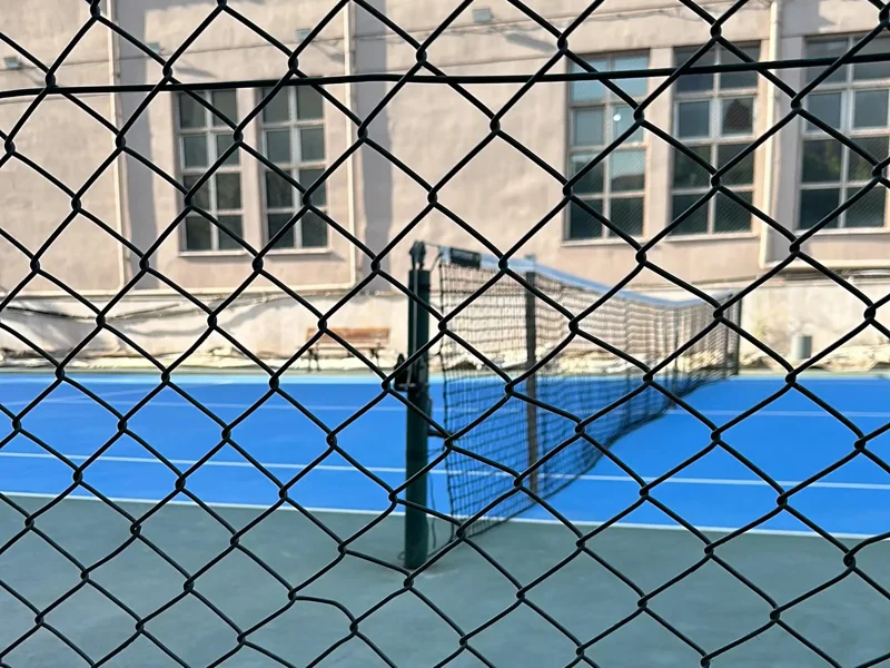 Master Tennis Academy galeri fotoğrafı 2
