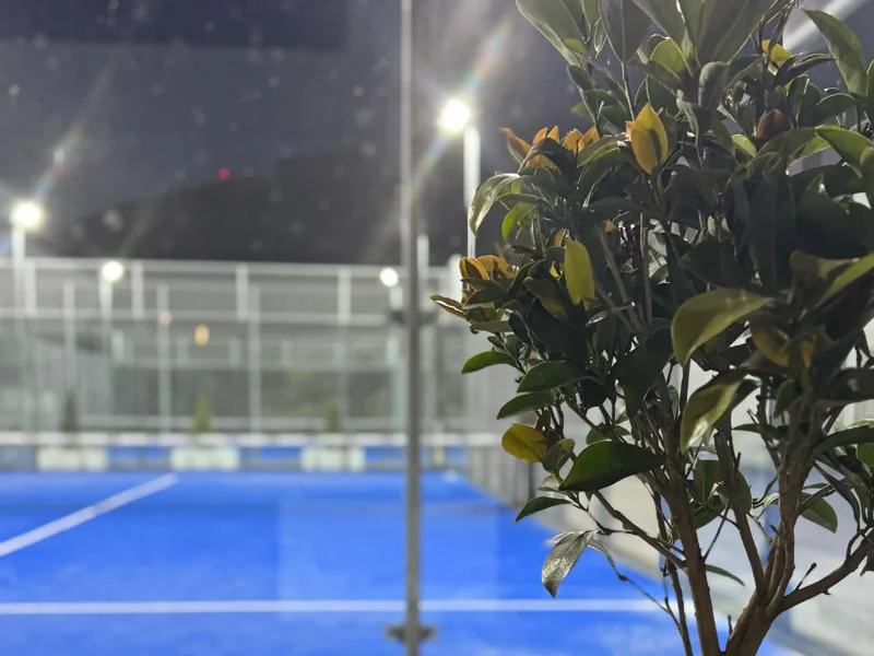 Campus Padel Pickleball Club galeri fotoğrafı 4