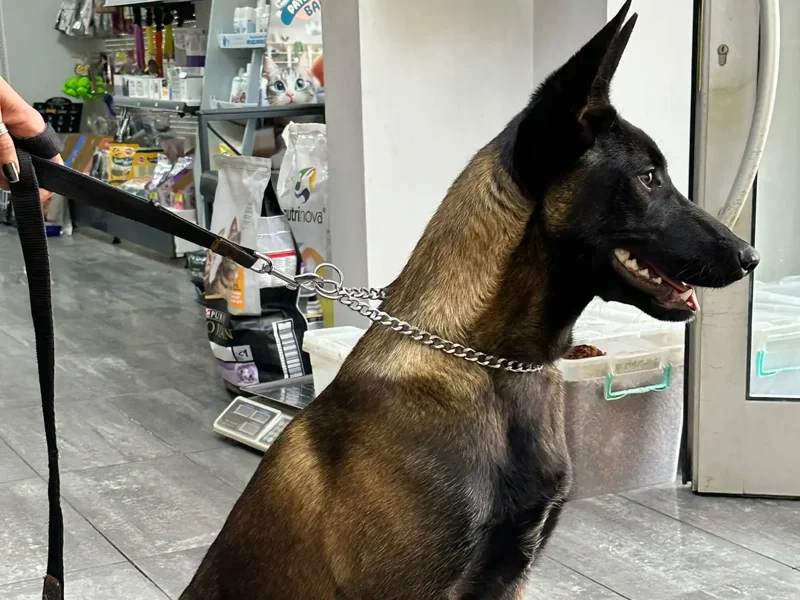 Egetek Veteriner Kliniği galeri fotoğrafı 1
