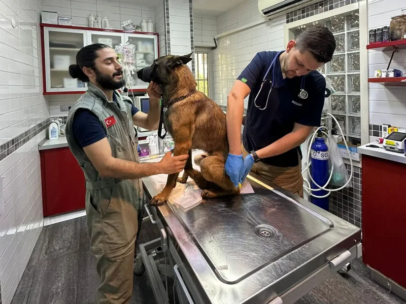 Egetek Veteriner Kliniği galeri fotoğrafı 2