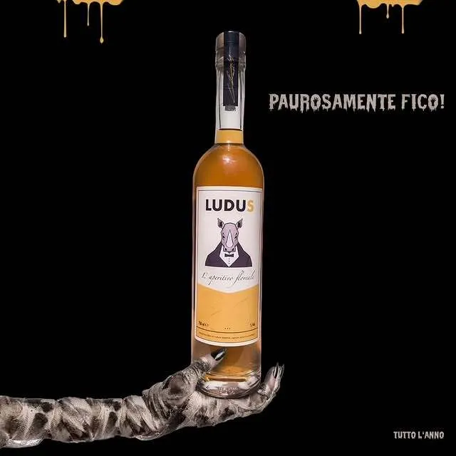 Ludus: un toro da domare nel bicchiere